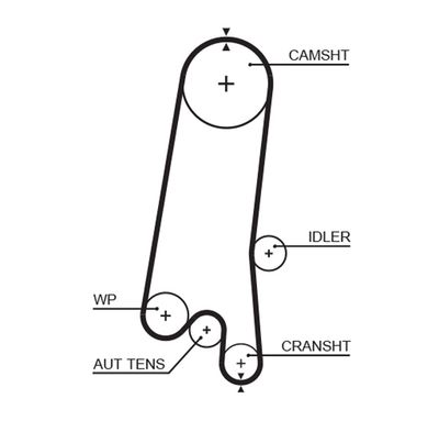 Timing Belt GATES 5597XS