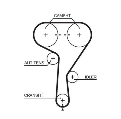 Timing Belt GATES 5603XS