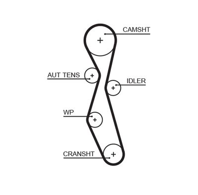 Timing Belt GATES 5606XS