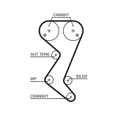 Timing Belt GATES 5608XS