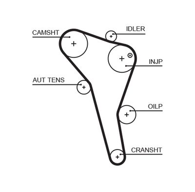 Timing Belt GATES 5622XS