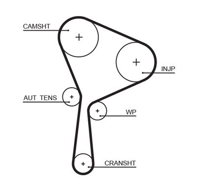 Timing Belt GATES 5654XS