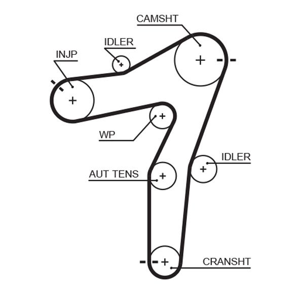 GATES 5663XS Timing Belt