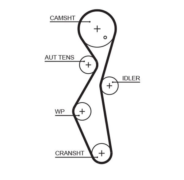 GATES 5672XS Timing Belt