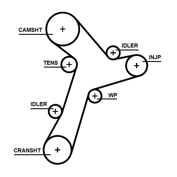 GATES 5695XS Timing Belt