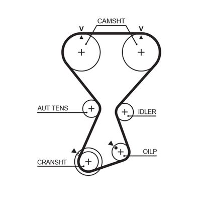 Timing Belt GATES T313