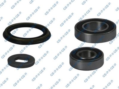 Repair Kit, steering knuckle GSP 516868S