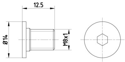 Bolt, brake disc HELLA PAGID 8DZ 355 209-021