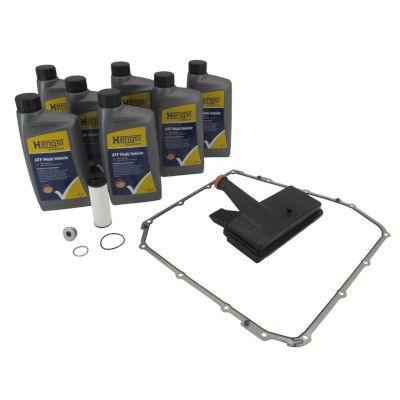 Parts Kit, automatic transmission oil change HENGST FILTER KIT825