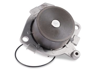 Water Pump, engine cooling HEPU P1087