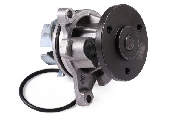 HEPU P251 Water Pump, engine cooling