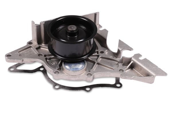 HEPU P560 Water Pump, engine cooling