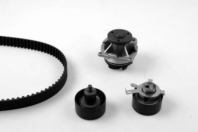 Water Pump & Timing Belt Kit HEPU PK02361