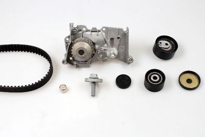 Water Pump & Timing Belt Kit HEPU PK08420S