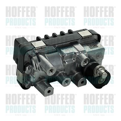 Boost Pressure Control Valve HOFFER 6200071