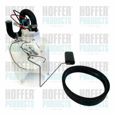 Fuel Feed Unit HOFFER 7506594