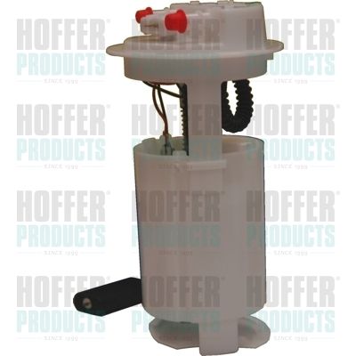 Fuel Feed Unit HOFFER 7506860