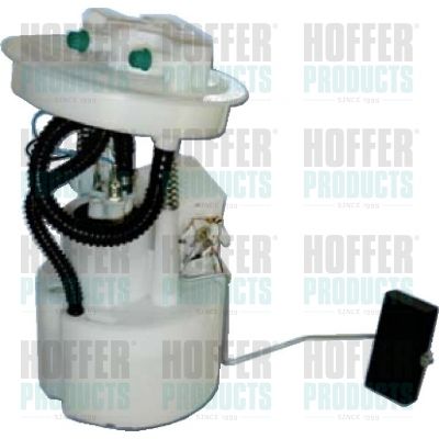 Fuel Feed Unit HOFFER 7506867