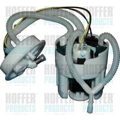 Fuel Feed Unit HOFFER 7506883