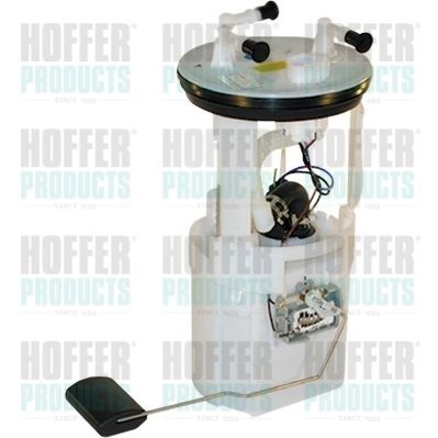 Fuel Feed Unit HOFFER 7507217