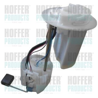 Fuel Feed Unit HOFFER 7507618