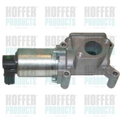 EGR Valve HOFFER 7518006