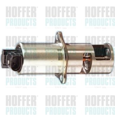 EGR Valve HOFFER 7518011