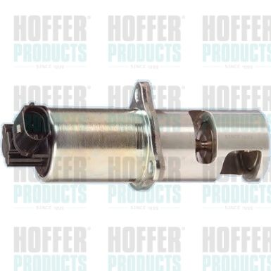 EGR Valve HOFFER 7518012