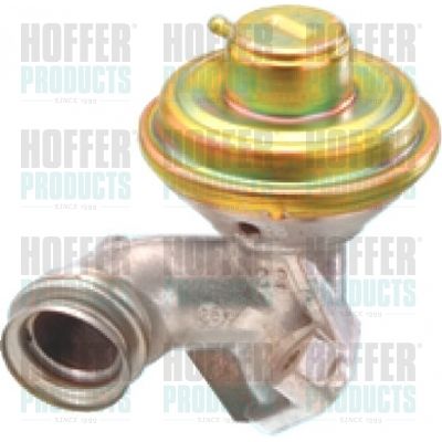 EGR Valve HOFFER 7518039