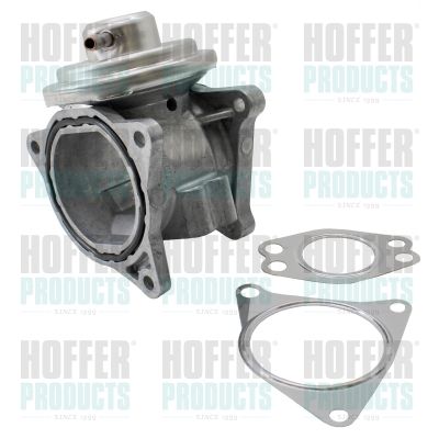 EGR Valve HOFFER 7518051