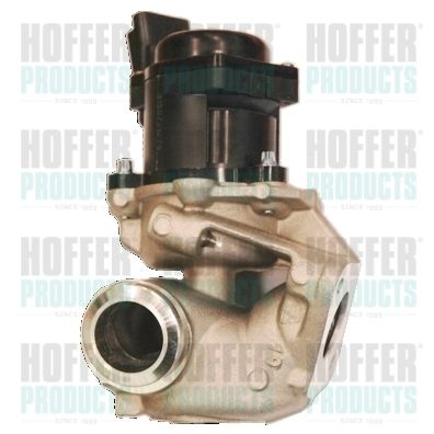 EGR Valve HOFFER 7518085