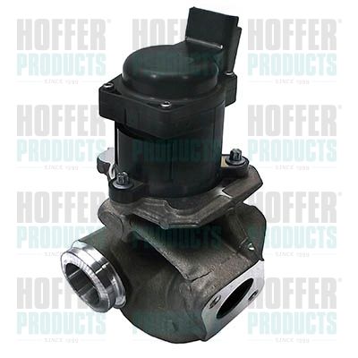 EGR Valve HOFFER 7518086