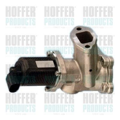 EGR Valve HOFFER 7518092R