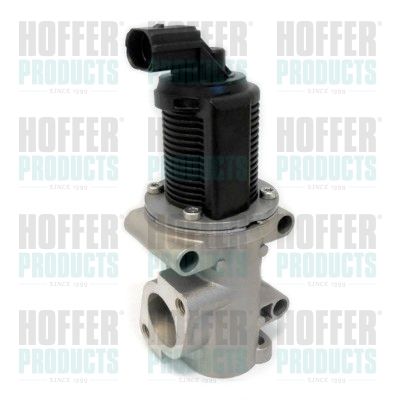 EGR Valve HOFFER 7518094