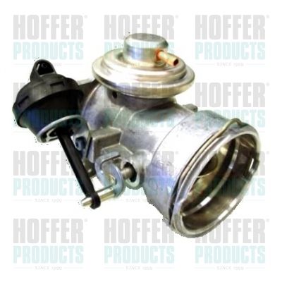 EGR Valve HOFFER 7518101