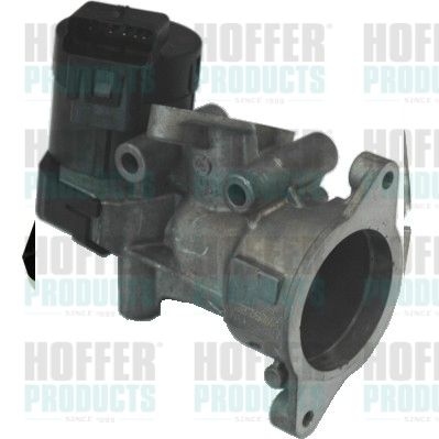 EGR Valve HOFFER 7518117R