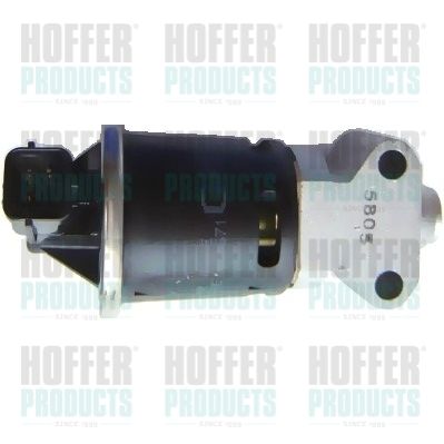 EGR Valve HOFFER 7518122