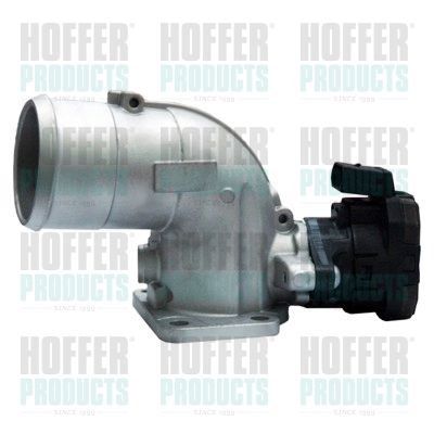 Throttle Body HOFFER 7518136R