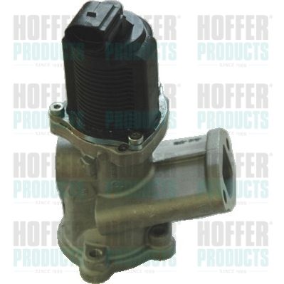 EGR Valve HOFFER 7518140