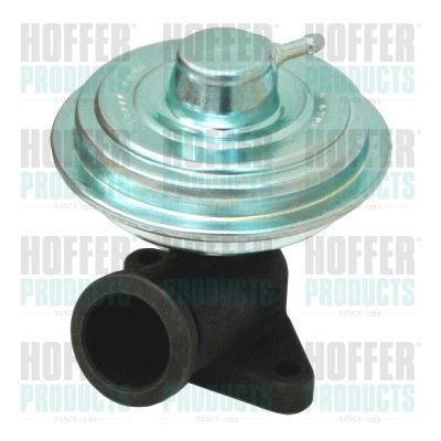 EGR Valve HOFFER 7518141