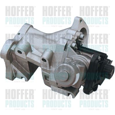 EGR Valve HOFFER 7518142