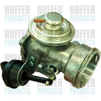 EGR Valve HOFFER 7518151