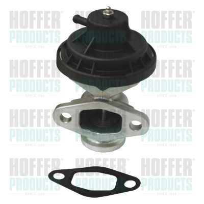 EGR Valve HOFFER 7518175