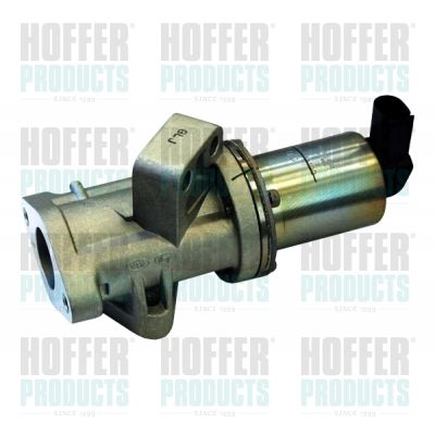 EGR Valve HOFFER 7518179