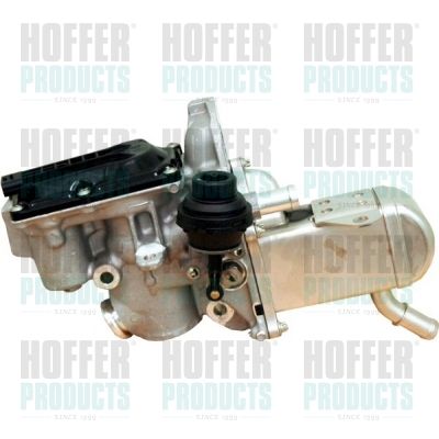 EGR Valve HOFFER 7518199