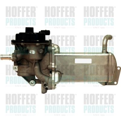 EGR Valve HOFFER 7518202