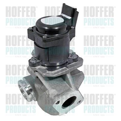 EGR Valve HOFFER 7518219