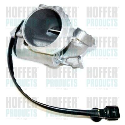 EGR Valve HOFFER 7518238