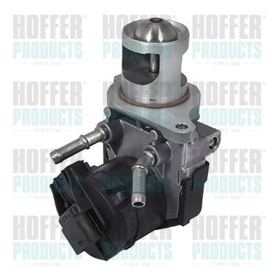 EGR Valve HOFFER 7518254R