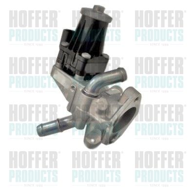 EGR Valve HOFFER 7518255